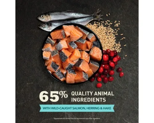 Сухий корм для кішок ACANA Bountiful Catch 4.5 кг (0064992714444)