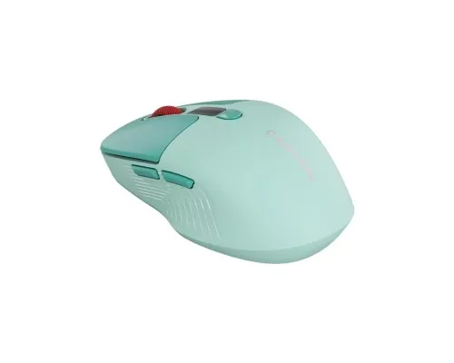 Мишка Canyon MW-26 LCD Silent Wireless/Bluetooth Green (CNS-CMSW26GR)
