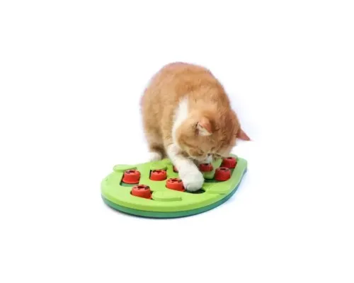 Іграшка для котів Outward Hound Головоломка зелена (0700603694797)