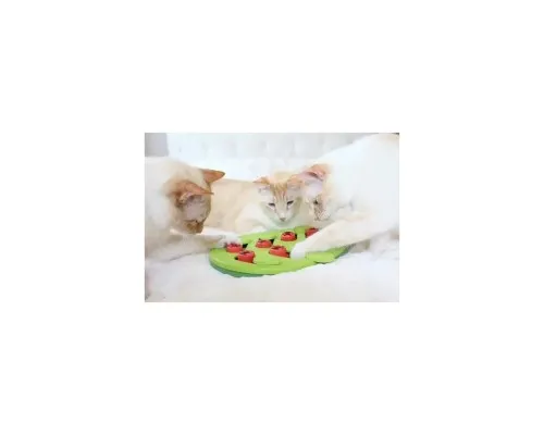 Іграшка для котів Outward Hound Головоломка зелена (0700603694797)