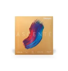 Струни для скрипки D'Addario Ascente Violin String Set 3/4 Scale Medium Tension (A310 3/4M)