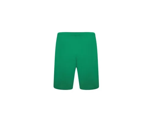 Шорти Puma teamRISE Short 704942-05 зелений L (4063699209846)