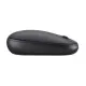 Мишка Acer AMR100 Optical Wireless Bubble Black (GP.MCE11.034)