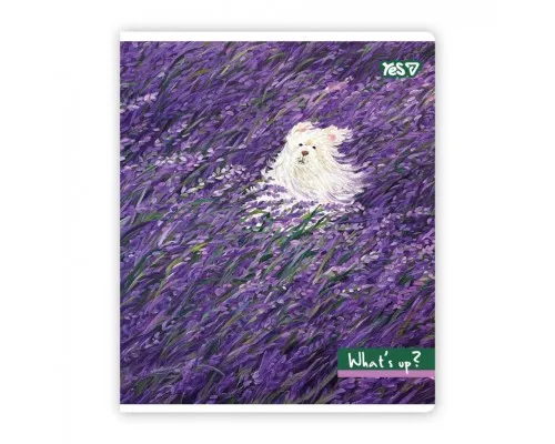 Зошит Yes Whats up? А5 48 аркушів клітинка (768600)