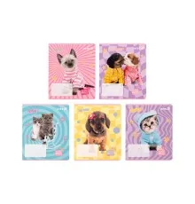 Зошит Kite Studio Pets, 12 аркушів, клітинка (SP25-232)