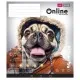 Зошит Школярик Online 48 аркушів лінія (048-3420L)