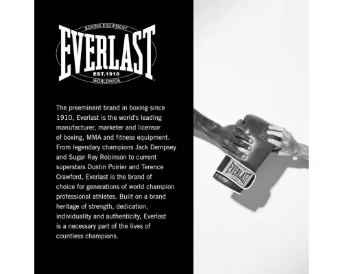 Боксерські рукавички Everlast 1910 Classic Training Glove P00002501 коричневий 12 унцій (009283610302)