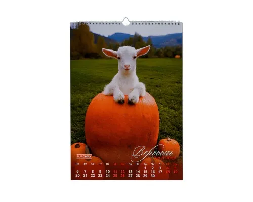 Календар Buromax настінний А3 2027 рік, 1 пружина, Cute goat (BM.210601)