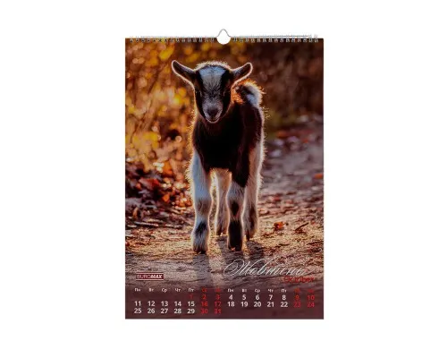Календар Buromax настінний А3 2027 рік, 1 пружина, Cute goat (BM.210601)