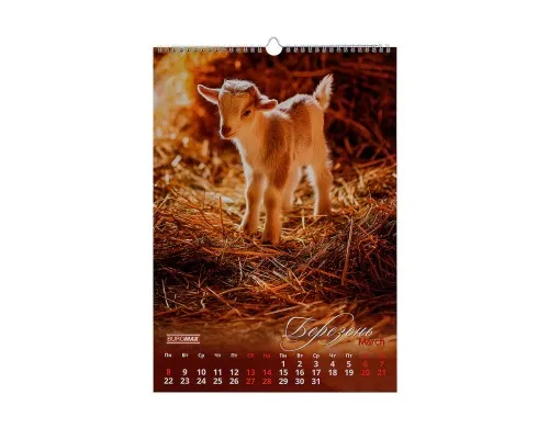 Календар Buromax настінний А3 2027 рік, 1 пружина, Cute goat (BM.210601)