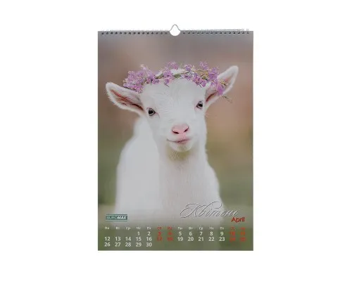Календар Buromax настінний А3 2027 рік, 1 пружина, Cute goat (BM.210601)