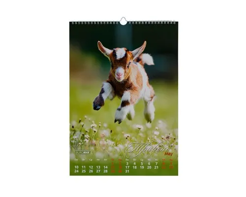 Календар Buromax настінний А3 2027 рік, 1 пружина, Cute goat (BM.210601)