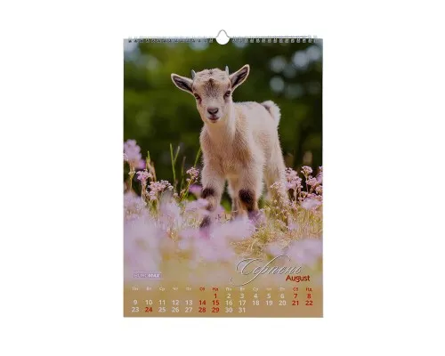 Календар Buromax настінний А3 2027 рік, 1 пружина, Cute goat (BM.210601)