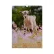 Календар Buromax настінний А3 2027 рік, 1 пружина, Cute goat (BM.210601)