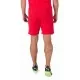 Шорти Puma teamRISE Short 704942-01 червоний L (4063699210613)