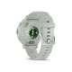 Смарт-годинник Garmin Venu 3S, Sage Gray + Passivated, GPS (010-02785-01)