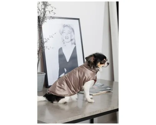 Жилет для тварин Pet Fashion Hardy L (4823082437443)