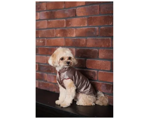 Жилет для тварин Pet Fashion Hardy L (4823082437443)