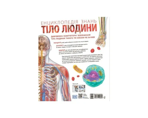 Книга Енциклопедія знань. Тіло людини - Філіп Базеліс, Пітер Крісп, Стів Хоффман Ранок (9786170993953)