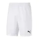 Шорти Puma teamGOAL 23 knit Shorts 704262-04 білий M (4062451180614)