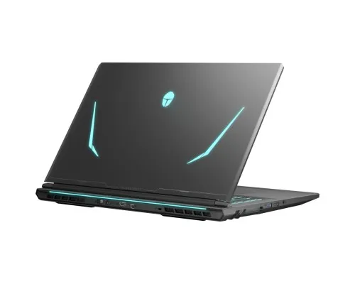 Ноутбук Thunderobot 911 X17 (911X17-i7136H56C1Q165MB)