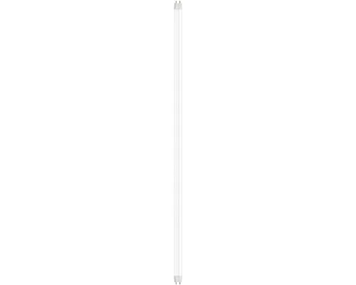 Лампочка Osram ST8B-1.2M 16W/840 230VAC DE (4099854742958)