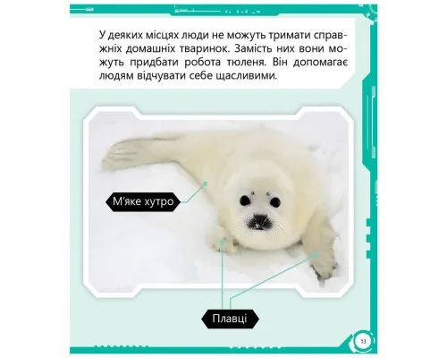 Книга Робопарк і не тільки Перше читання Non Fiction. Рівень 4 Ранок (9786170940339)