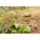 Шланг для поливу 2E AquaFlex Emerald Pro, 1/2", 20м, 4 шари, 20бар, -10…+60°C, зрошувач, 2 конектори, адаптер (2E-GHE12ED20)