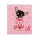 Зошит Kite Studio Pets, 24 аркуші, клітинка (SP25-238)
