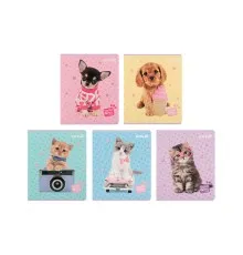 Зошит Kite Studio Pets, 24 аркуші, клітинка (SP25-238)