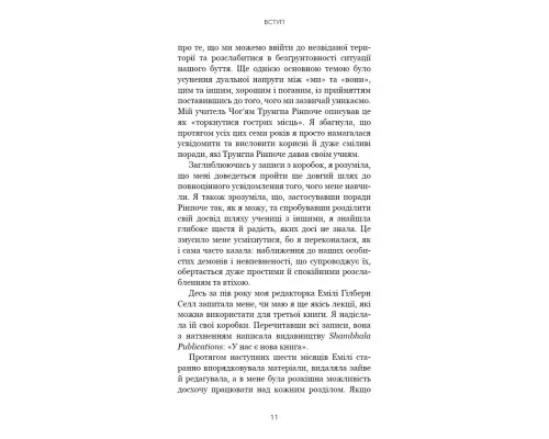 Книга Коли життя стає руїнами. Дієві поради для важких часів - Пема Чодрон BookChef (9786175482858)