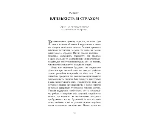 Книга Коли життя стає руїнами. Дієві поради для важких часів - Пема Чодрон BookChef (9786175482858)