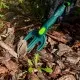 Вила Verto ширина 7.4см, 26.4см, 0.066кг (15G412)