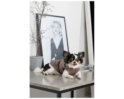 Жилет для тварин Pet Fashion Hardy М2 (4823082437467)