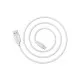 Дата кабель USB 2.0 AM to USB-C 1.0m 2.4A PVC BX14 white BOROFONE (6957531089995)