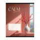 Зошит Yes Calm space А5 48 аркушів лінія (769109)