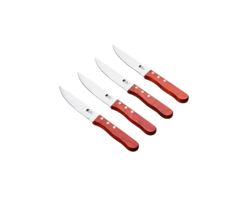 Набір ножів Bergner Bbq lovers для стейків, 4 предмети (BG-40201-MM)