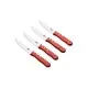 Набір ножів Bergner Bbq lovers для стейків, 4 предмети (BG-40201-MM)