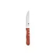 Набір ножів Bergner Bbq lovers для стейків, 4 предмети (BG-40201-MM)