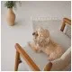 Кепка для тварин Pet Fashion Print XL (4823082446070)