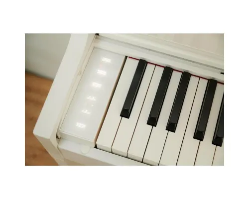 Цифрове піаніно Casio AP-S450WE (363172)