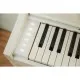 Цифрове піаніно Casio AP-S450WE (363172)