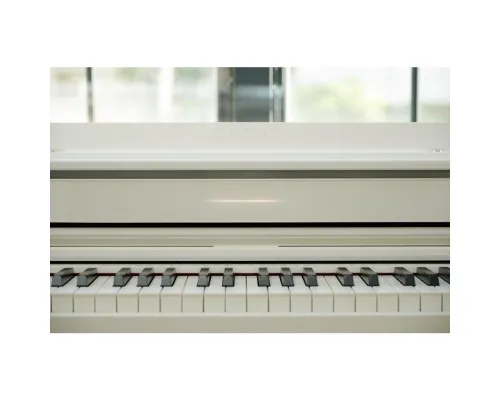 Цифрове піаніно Casio AP-S450WE (363172)