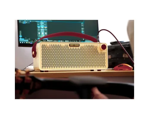 Комбопідсилювач Hotone Audio Pulze Luna (236670)