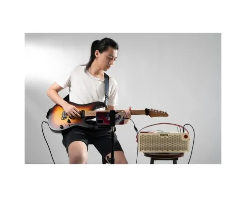 Комбопідсилювач Hotone Audio Pulze Luna (236670)