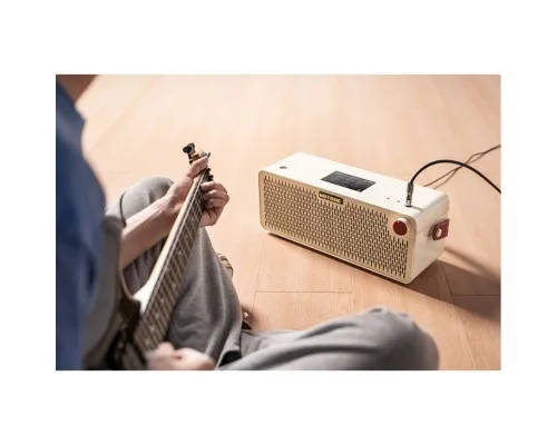 Комбопідсилювач Hotone Audio Pulze Luna (236670)