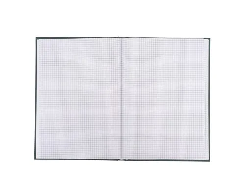 Канцелярська книга Buromax А4 MODEST 192 аркушів, клітинка, синій (BM.24419101-02i)