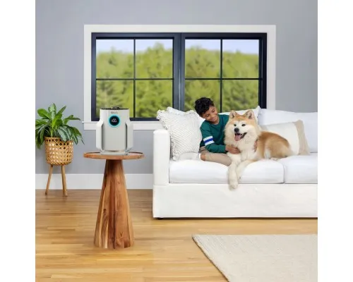 Очисник повітря Shark NeverChange5 Air Purifier Compact Pro (HP072EU)