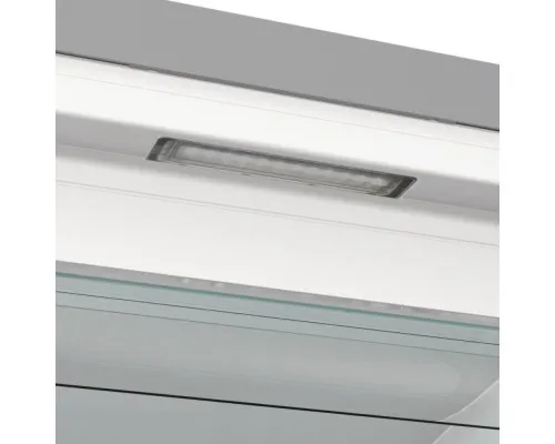 Морозильна камера Gorenje FN619EAXL6