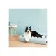 Лежак для тварин Petkit FOUR SEASON PET BED size S (NEW) (P7110)